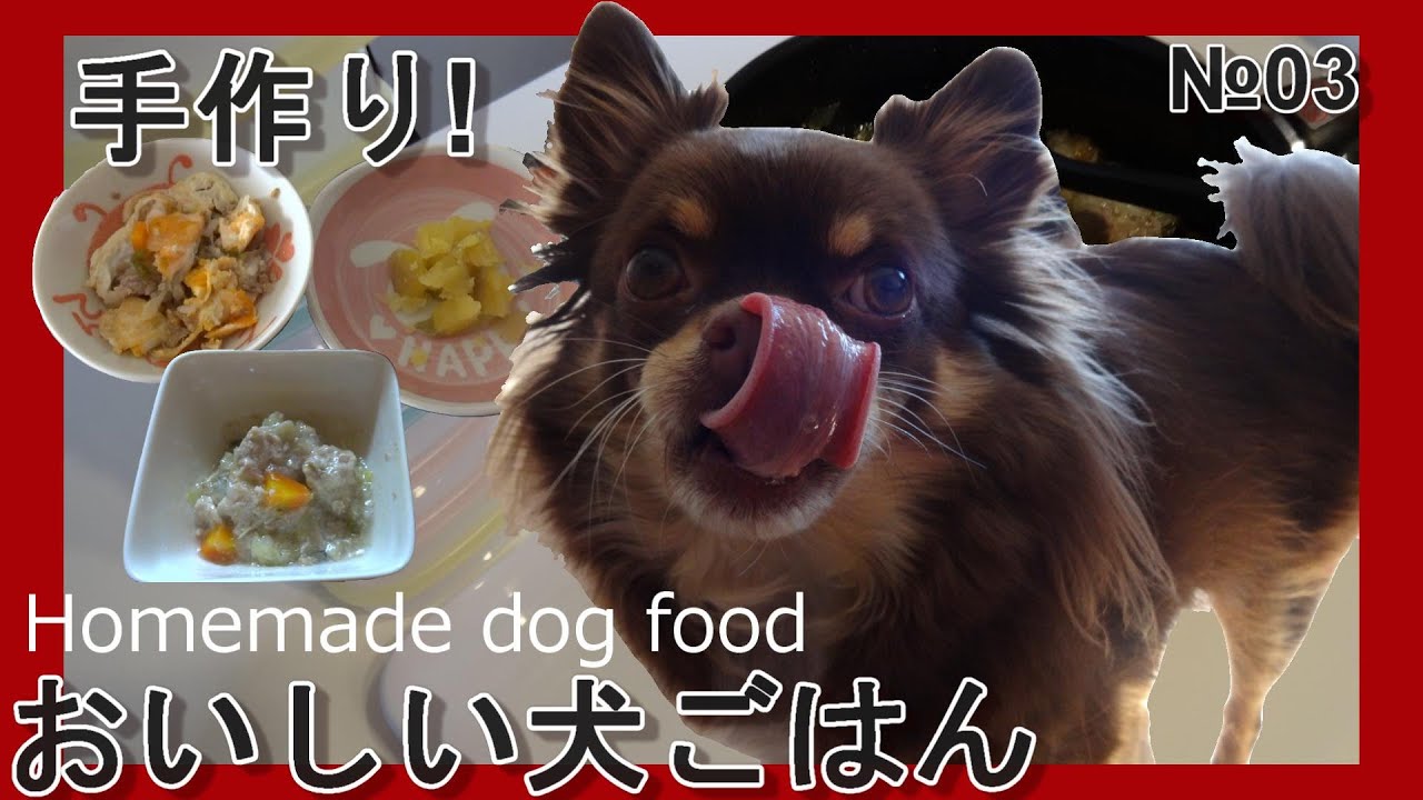 【手作り】犬が喜ぶ美味しいご飯の作り方【犬ごはん】