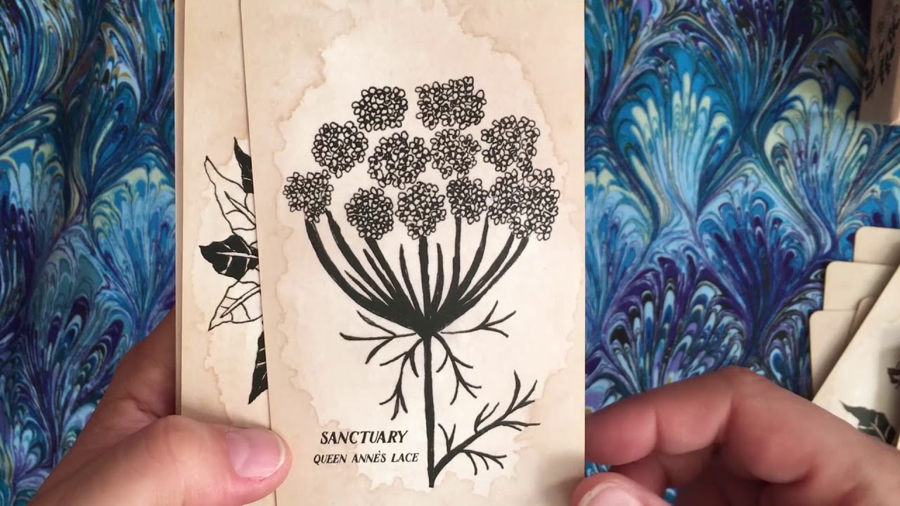 Leila + Olive Pythia Botanica Oracle Deck walkthrough
