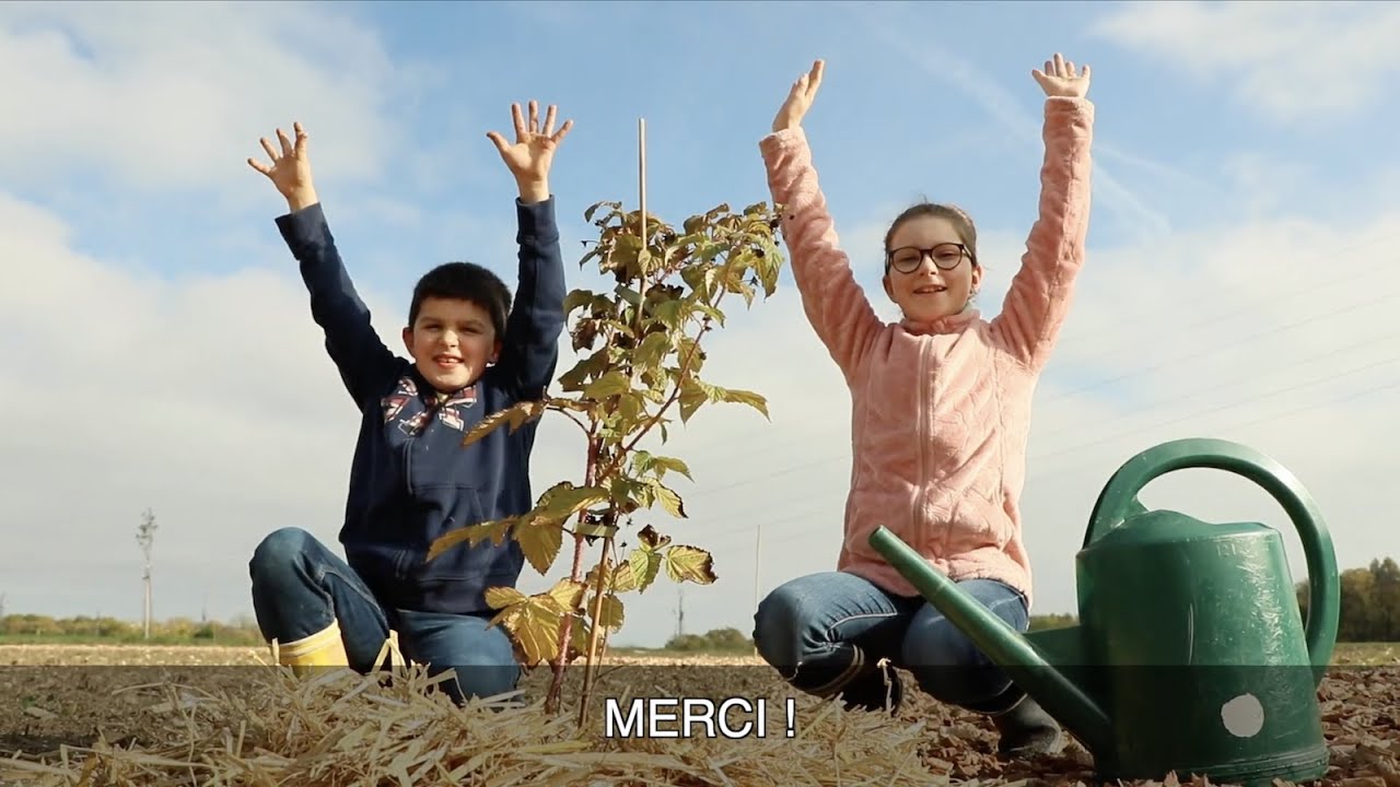 Le Jardin-Forêt d'Eos