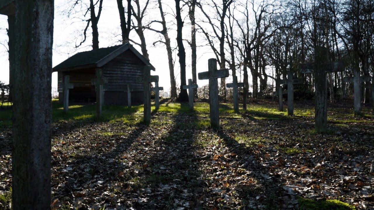 Cemetery Stock Footage Copyright Free