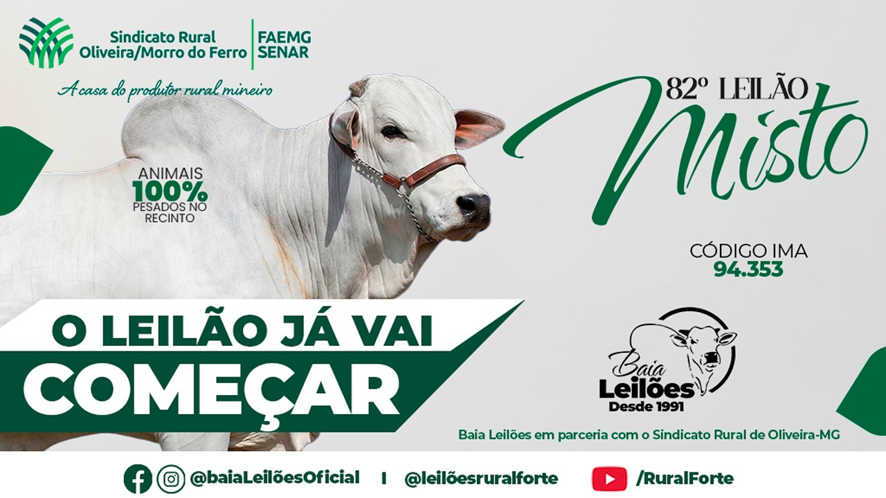81º LEILÃO VIRTUAL E PRESENCIAL DE CORTE SINDICATO DE OLIVEIRA, OLIVEIRA - MG, DIA 03/03/26.