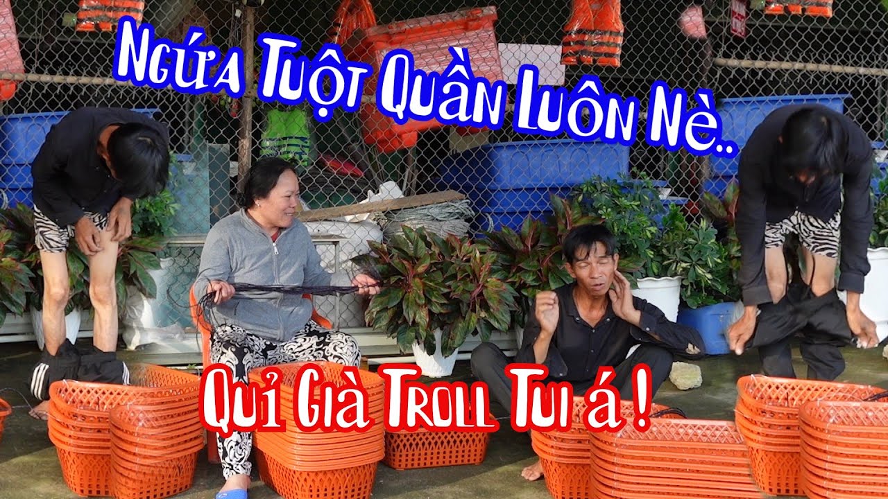 10 R&acirc;u Troll B&agrave; 8 Phong Ngứa G&atilde;i Tuột Cả Quần M&agrave; Kh&ocirc;ng Biết V&igrave; Sao Ngứa