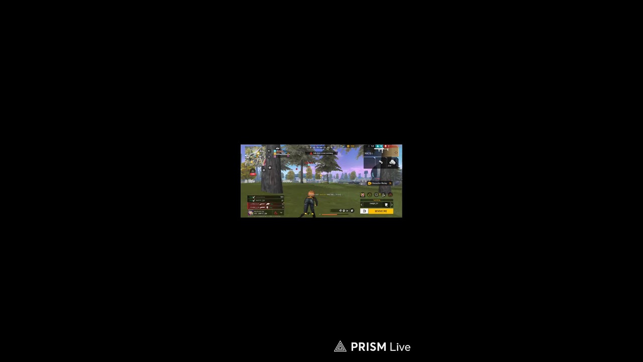 Live streaming of CHIRONJIB  GZ