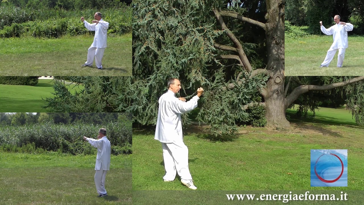 Forma 13 Tai Chi da 4 angolazioni - M&deg; Francesco Curci - Area Lezioni Gratuite - Tai Chi Online.it
