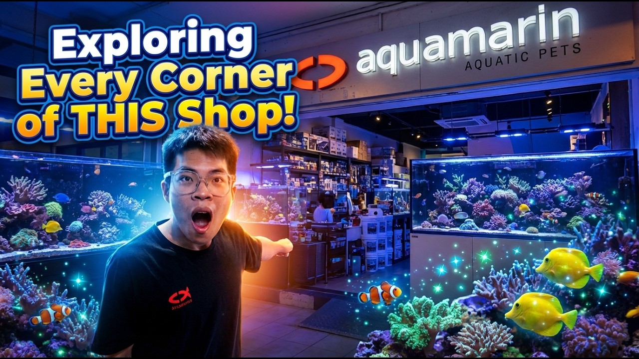 This Reef Store is CRAZY… You Won’t Believe What’s Inside!  - Part One.
