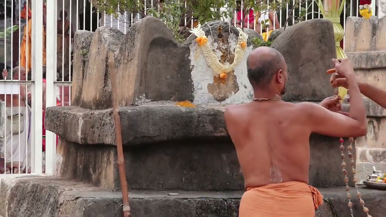 Padmanabha Teertha Aradhana / Bangalore / swami rupam