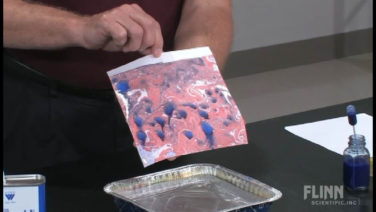 Marbling Paper with Oil Paints