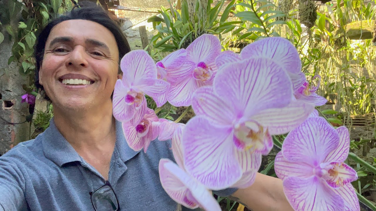 ORQUÍDEA CIMBIDIUM,SUBSTRATO E VASO ADEQUADO
