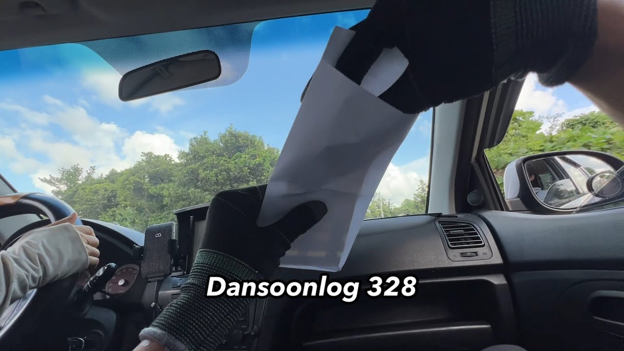 SUB 단순로그328 in Jeju 육지 사람들은 모르는 동백 씨앗 줍고 키위 농장 알바하는 찐 제주 시골살이🍃