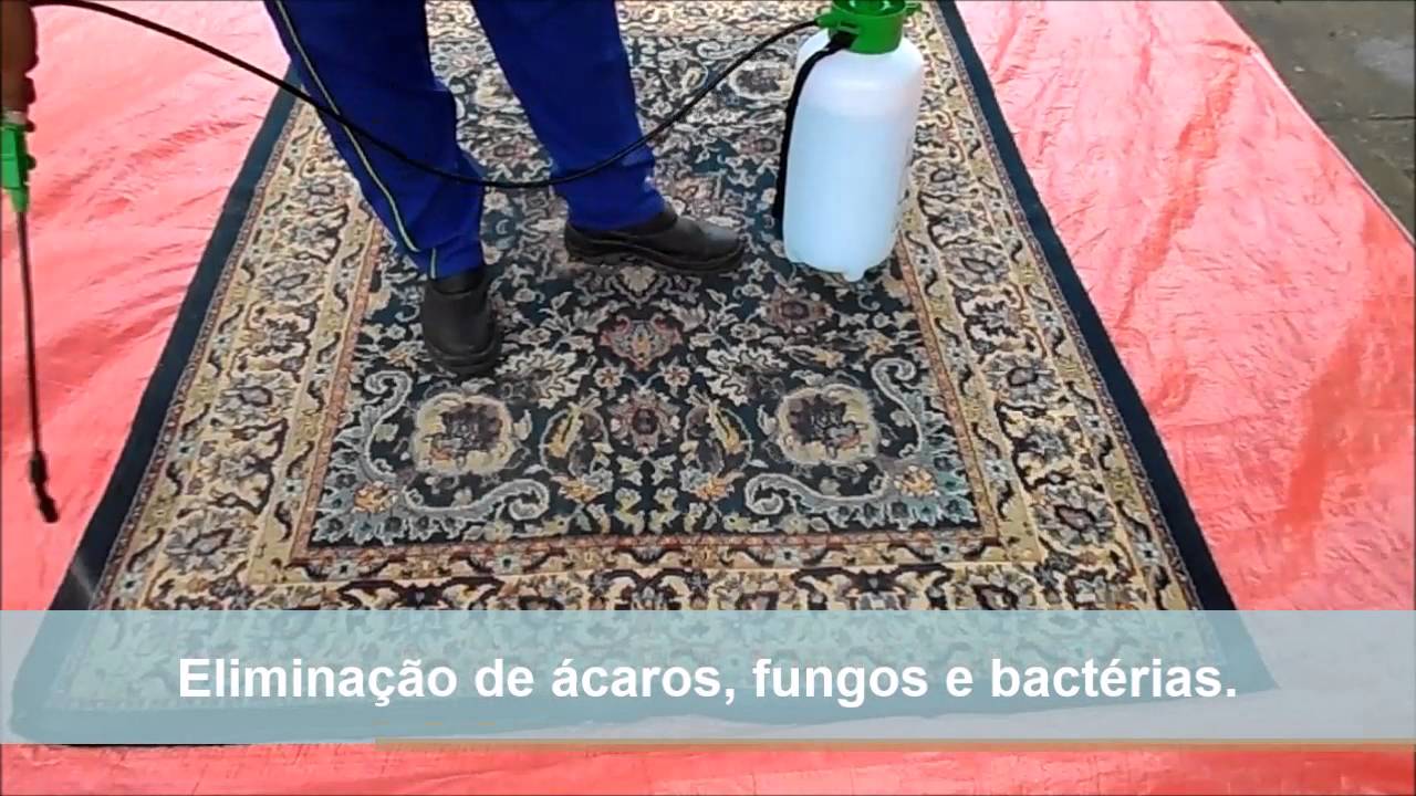 Lavagem e Higienização de Tapete Residencial Ecologic Service Car
