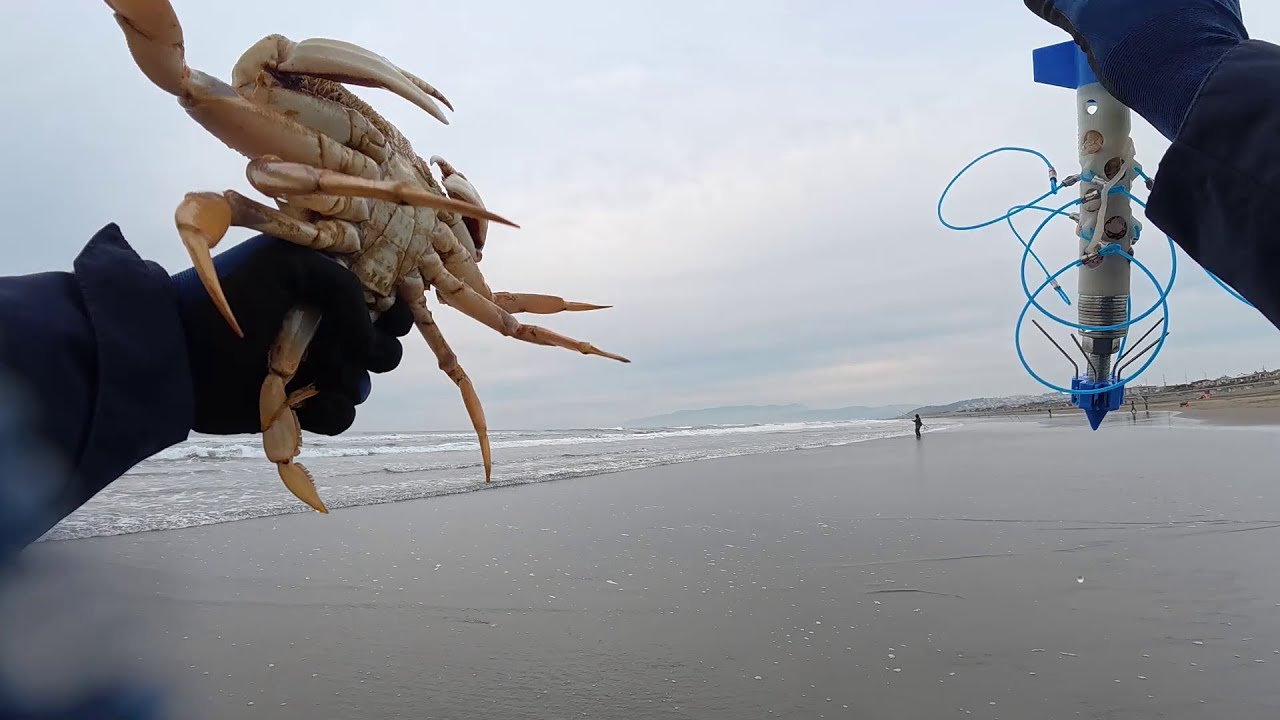 2 Keepers! Dungeness Crabbing at Ocean Beach | 2026-01-25