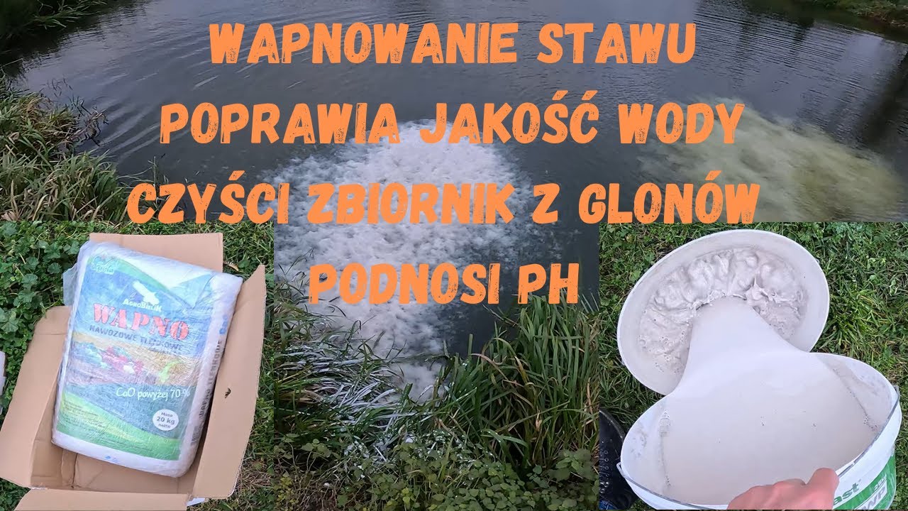 Wapno Do Stawu Jesienią Wapnowanie Stawu