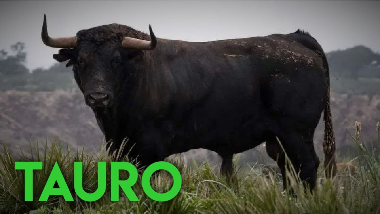 TAURO | Los signos del zodíaco y su carácter - Linda Goodman