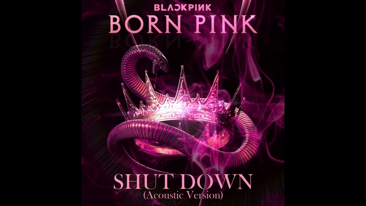 BLACKPINK - SHUT DOWN (Acoustic Version)