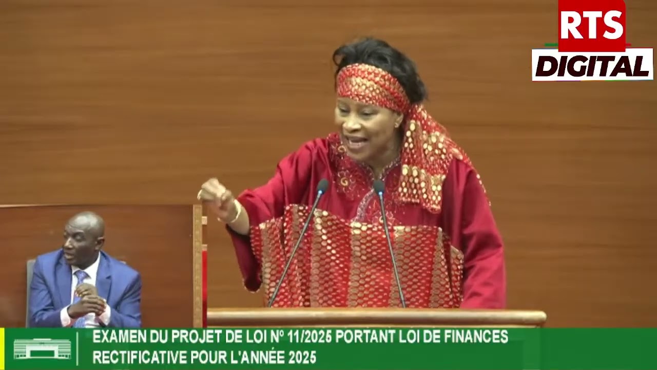 AN : Aissata Tall Sall au ministre Cheikh Diba « sortez les vrais chiffres… »