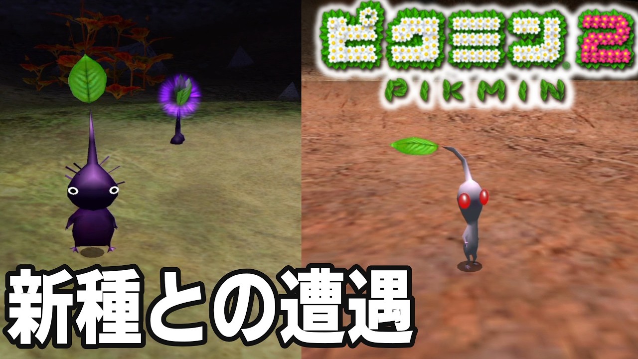 【ピクミン2#part2】難易度が爆上がりした恐怖の続編！今度は無制限に星にいれる！？
