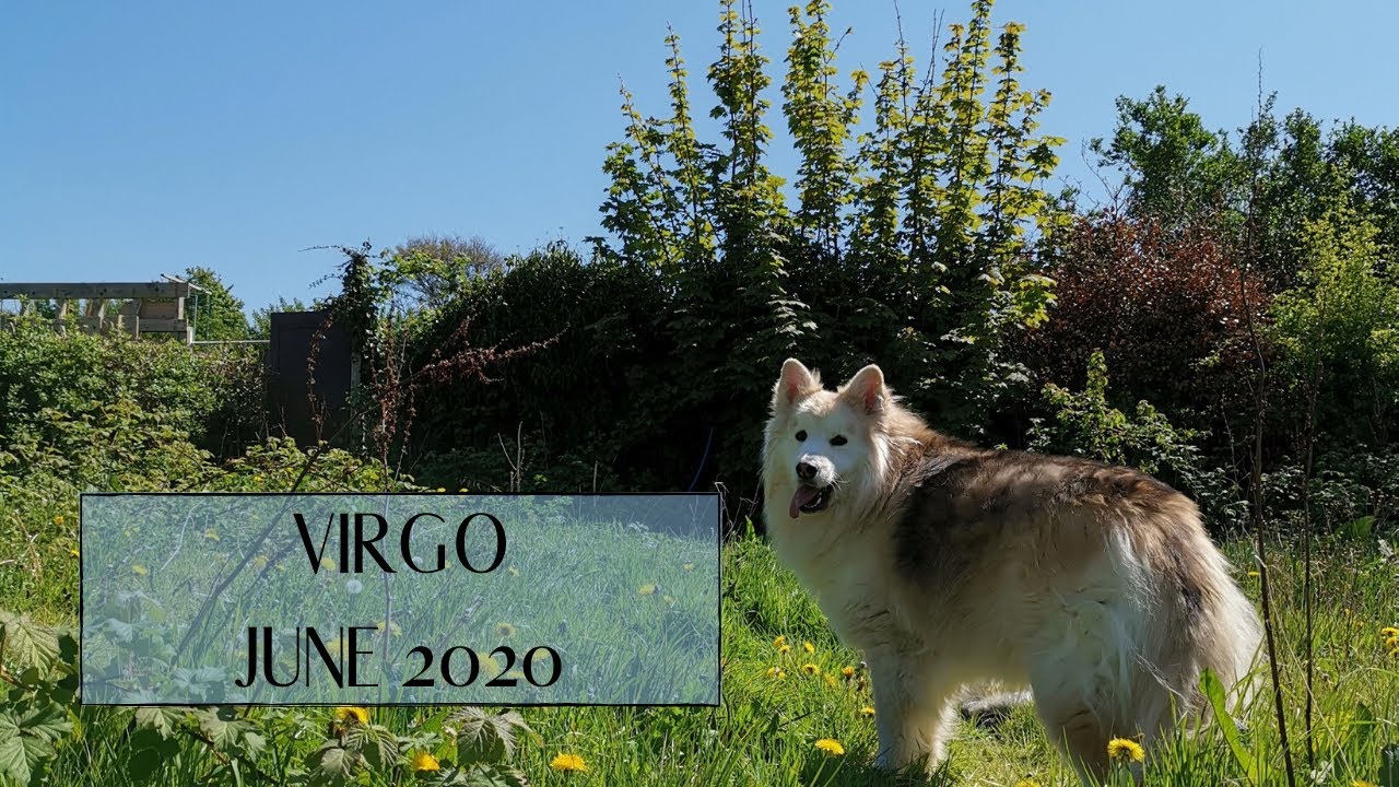 VIRGO || JUNE 2020 || You've turned a corner, finally
