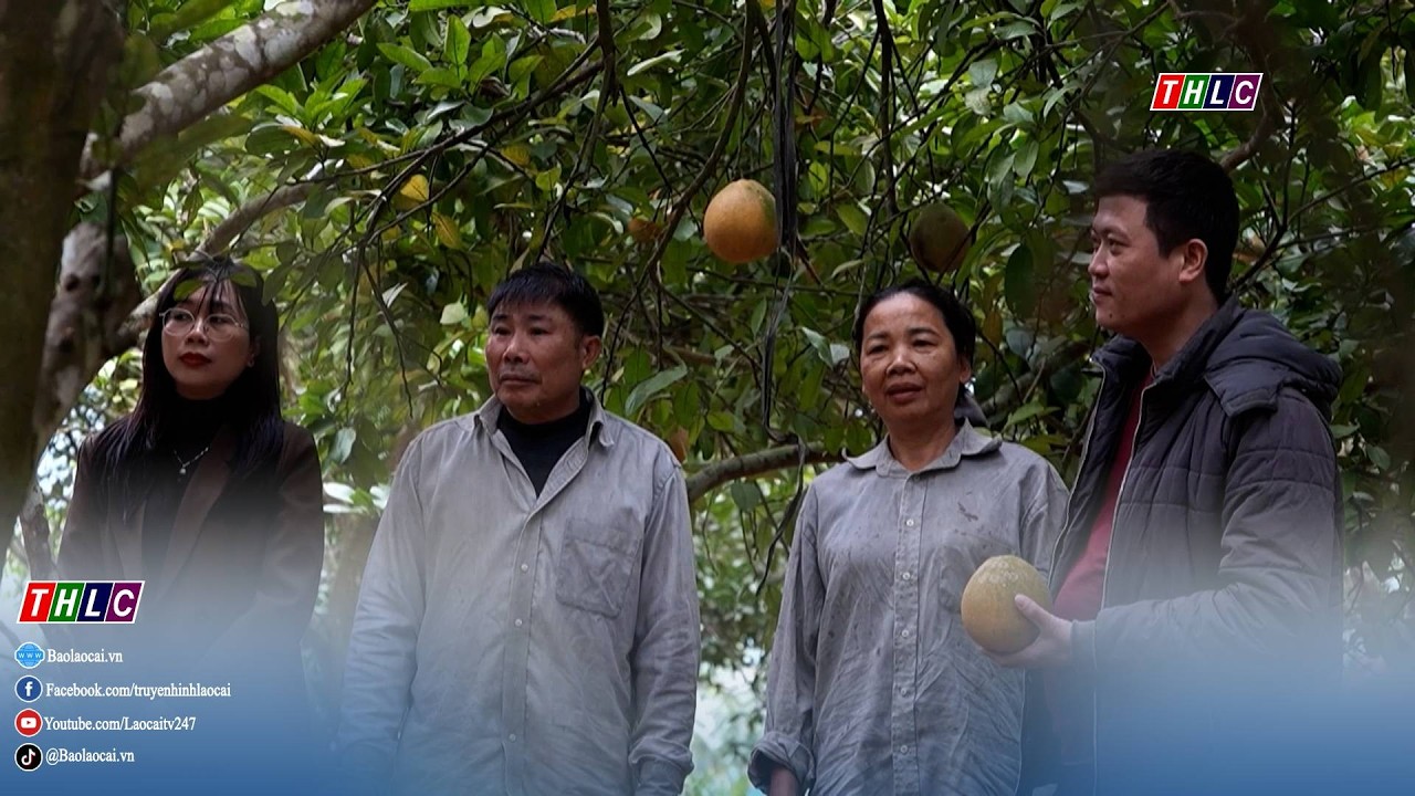 Gần dân, vì dân là bảo vệ niềm tin của Nhân dân với Đảng  | THLC