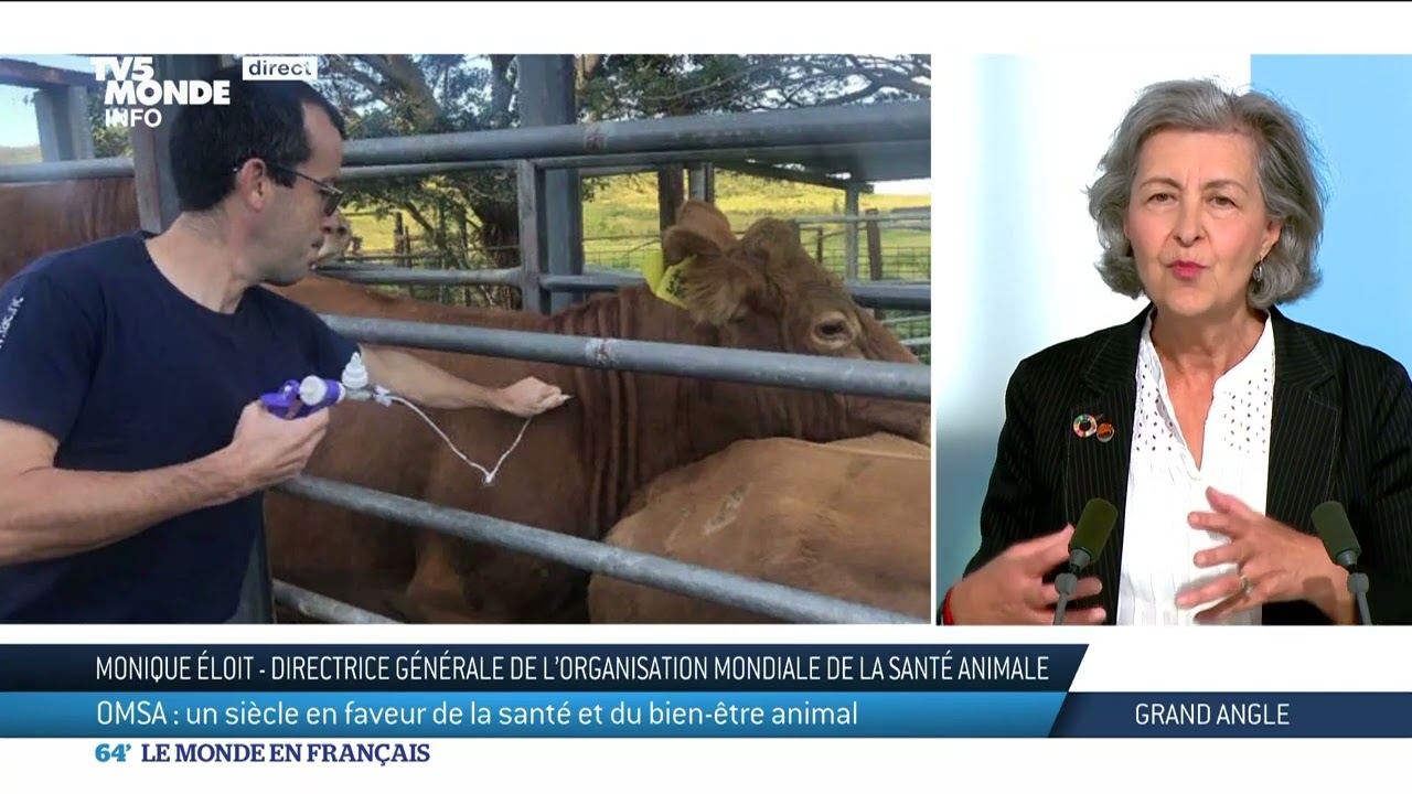OMSA : un si&egrave;cle en faveur de la sant&eacute; et du bien-&ecirc;tre animal