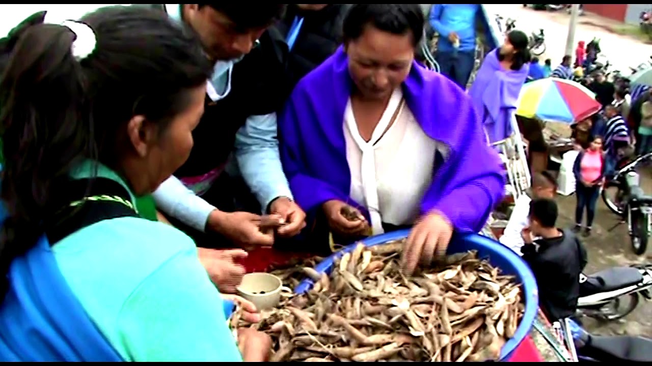 nukanchipa pugllai-juegos tradicionaldes cabildo indigena inga san pedro alto putumayo