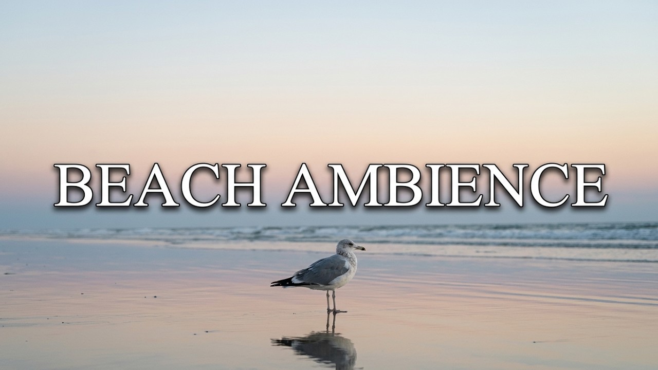 Atlantic Beach Sunset Ambiance 🌊 | Natural Waves, Wind & Birds | 90 Minutes of Ocean Calm