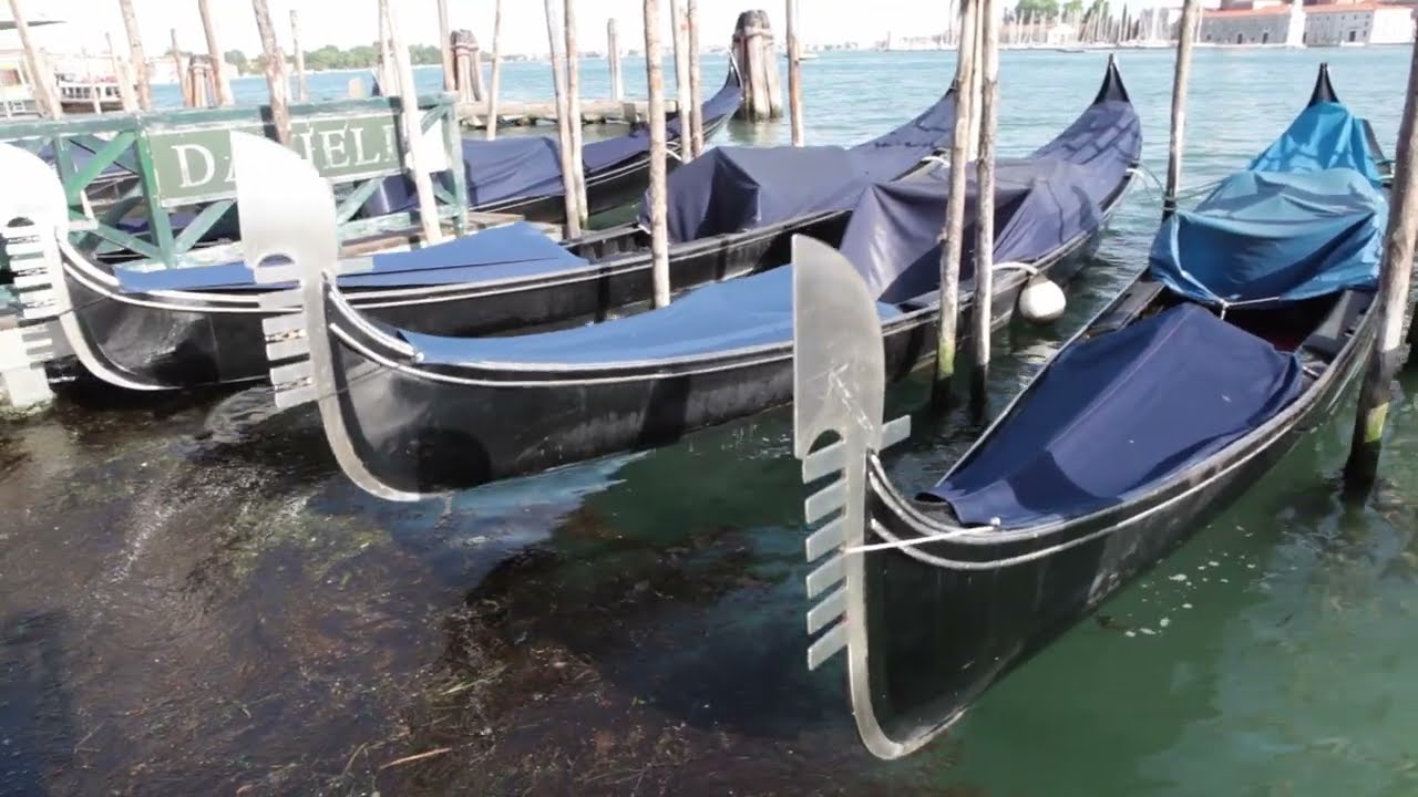 Venezia - Le ragazze delle gondole