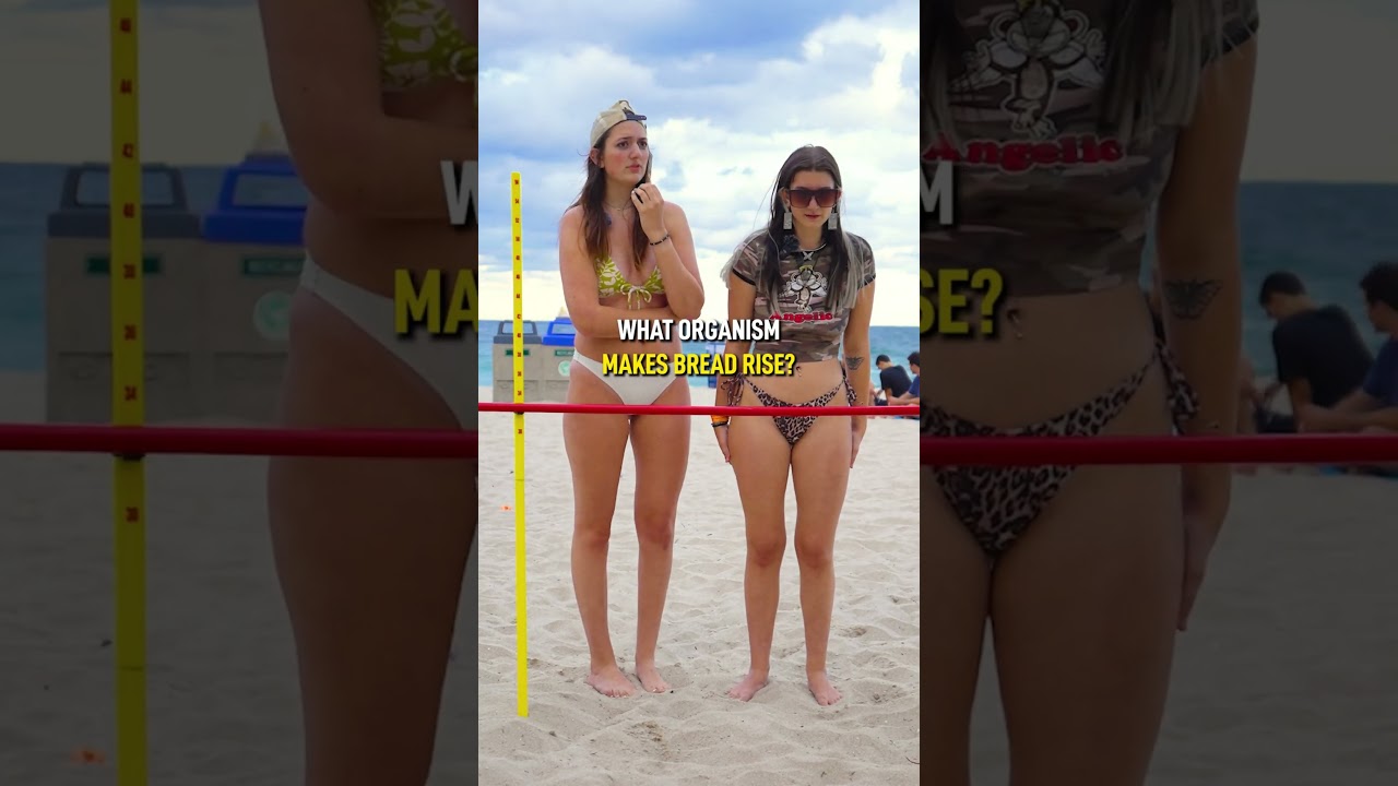 Ciekawostki plażowe