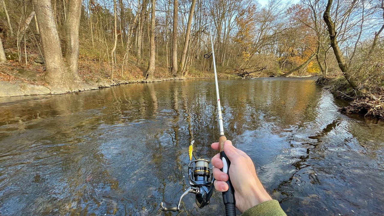 Fall TROUT Fishing with Jerkbaits