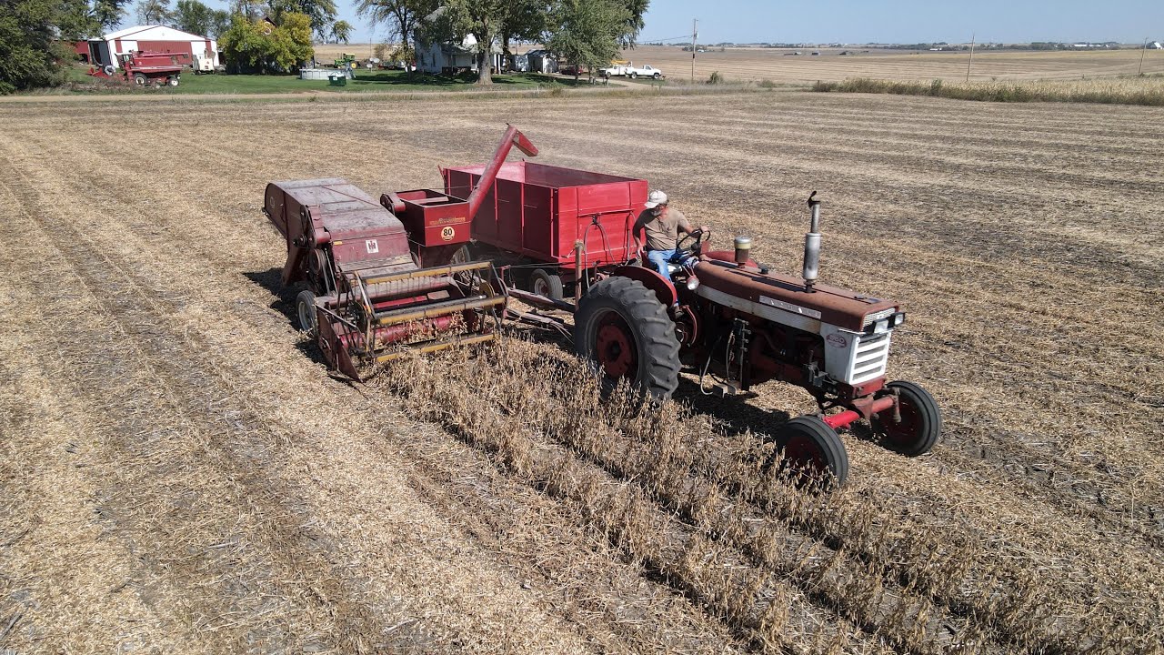 Farmall 560 with pull behind IH 80 combine