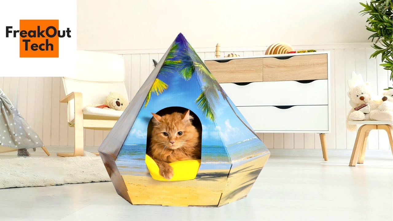 6 Cool Things Every Cat Needs In Their Home
