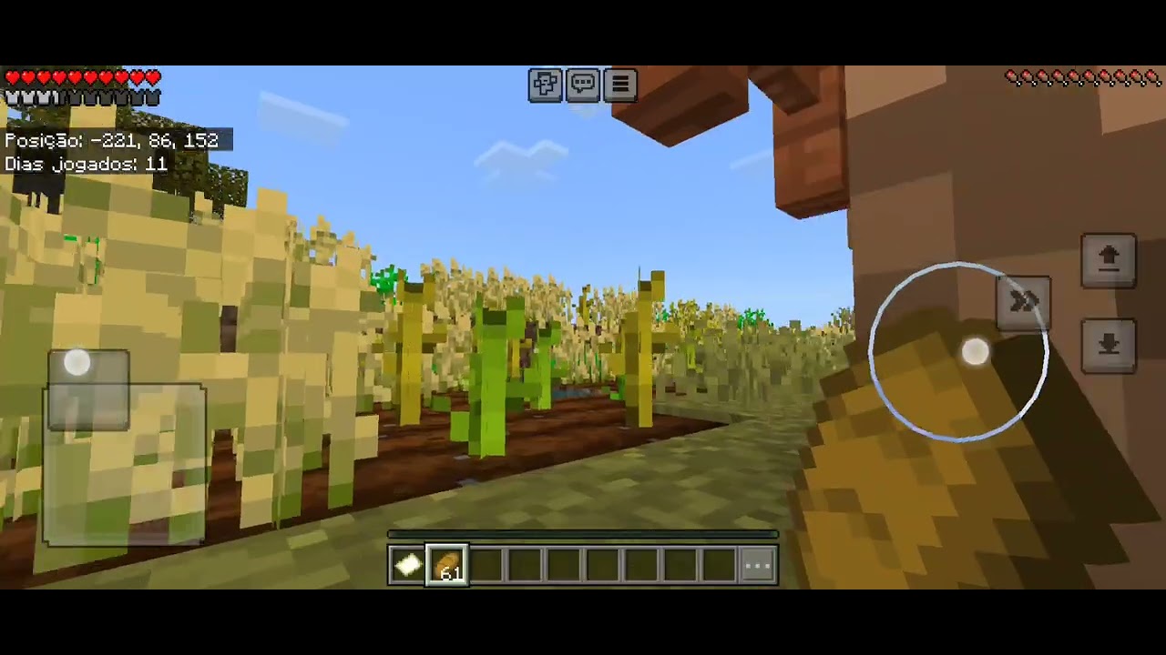 Deu erro no final no multiplayer do minecraft😭.