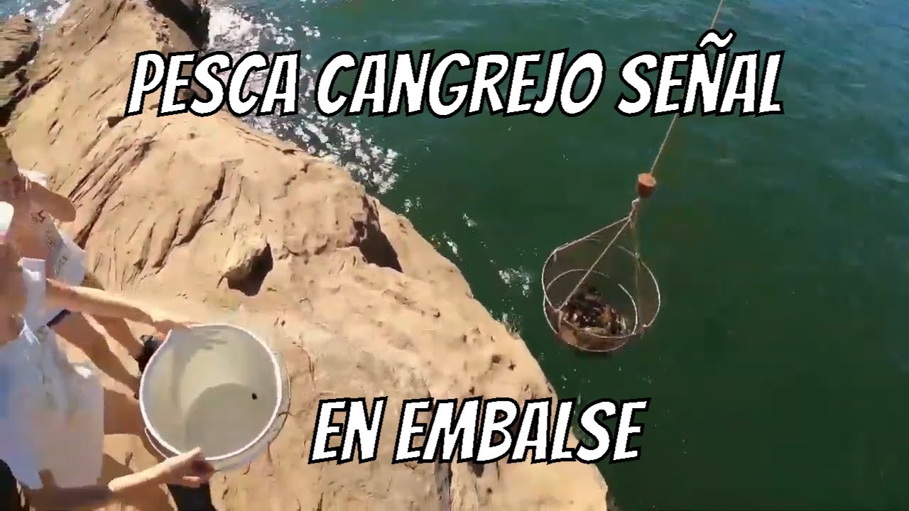 cangrejo señal * record personal
