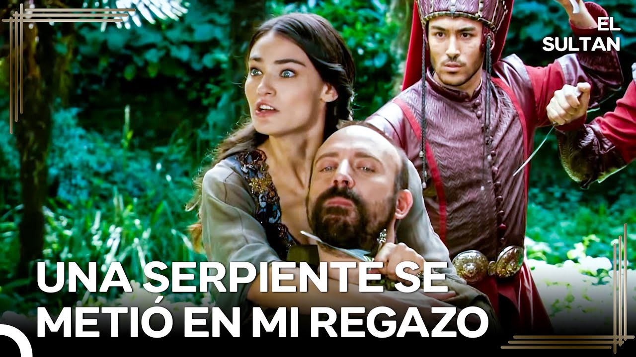 Intento De Ataque Con Cuchillo En El Palacio De Sultan Suleimán | El Sultán