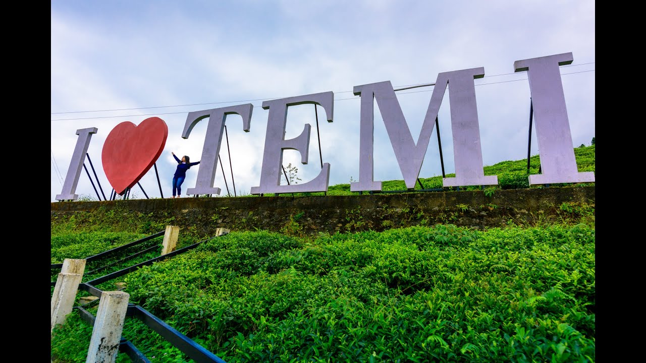 Temi Tea Garden South Sikkim