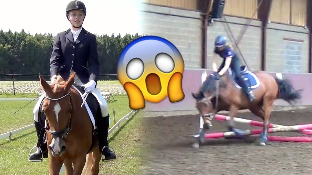 REAGEREN OP OUDE PAARDRIJ VIDEO'S! #02