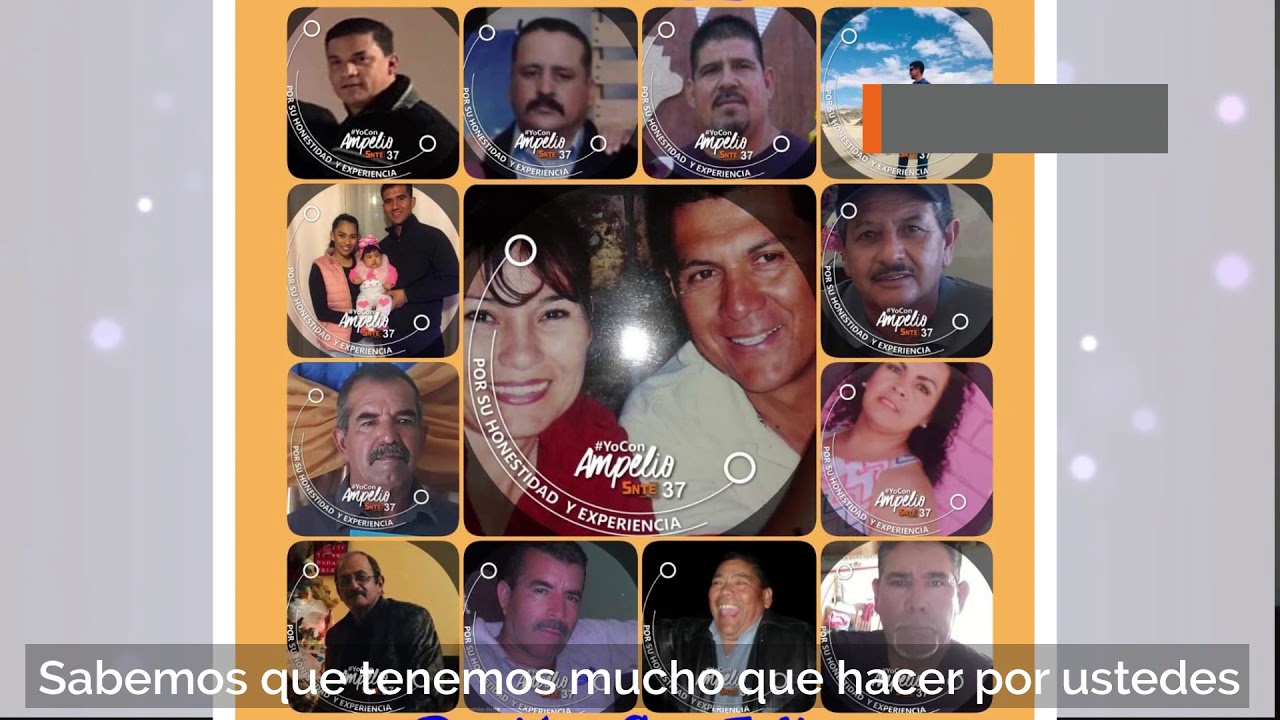 Personal de Apoyo y Asistencia a la Educaci&oacute;n