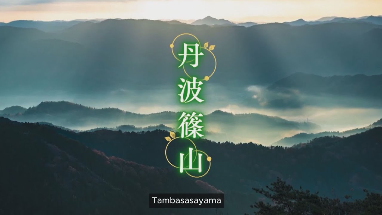 Tambasasayama: A town living in harmony with the forest - Respecting the old to create the forest