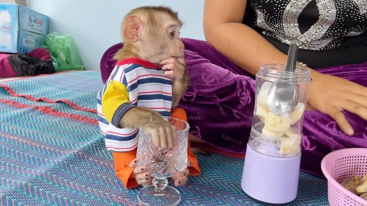 Appealing Baby DAM Sit Stare Mom Blending Fruit For Him