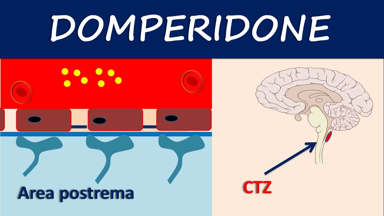 Domperidone - How it acts as an antiemetic?
