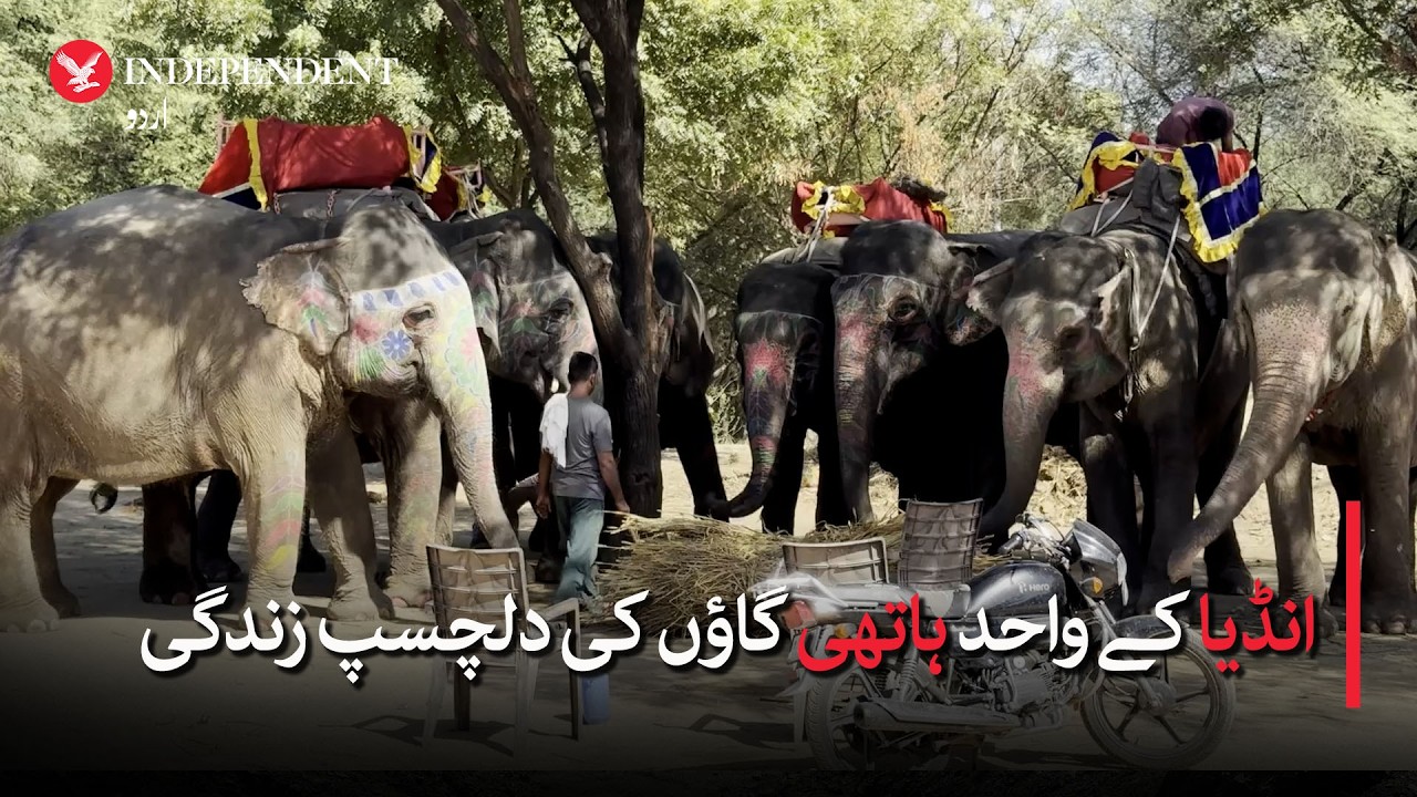 Inside India’s only elephant village