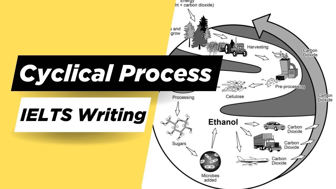 Cyclical Process Diagram Guide  IELTS Writing Task 1丨Cambridge IELTS 18 Sample Essay