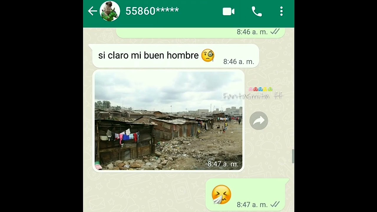 la casa más insana 😹