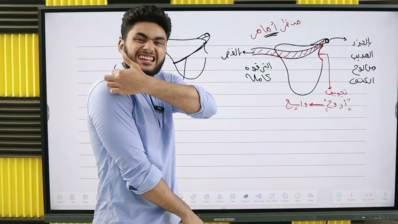 مراجعة الدعامه في الانسان(الهيكل الطرفي)الجزء الرابع 2026