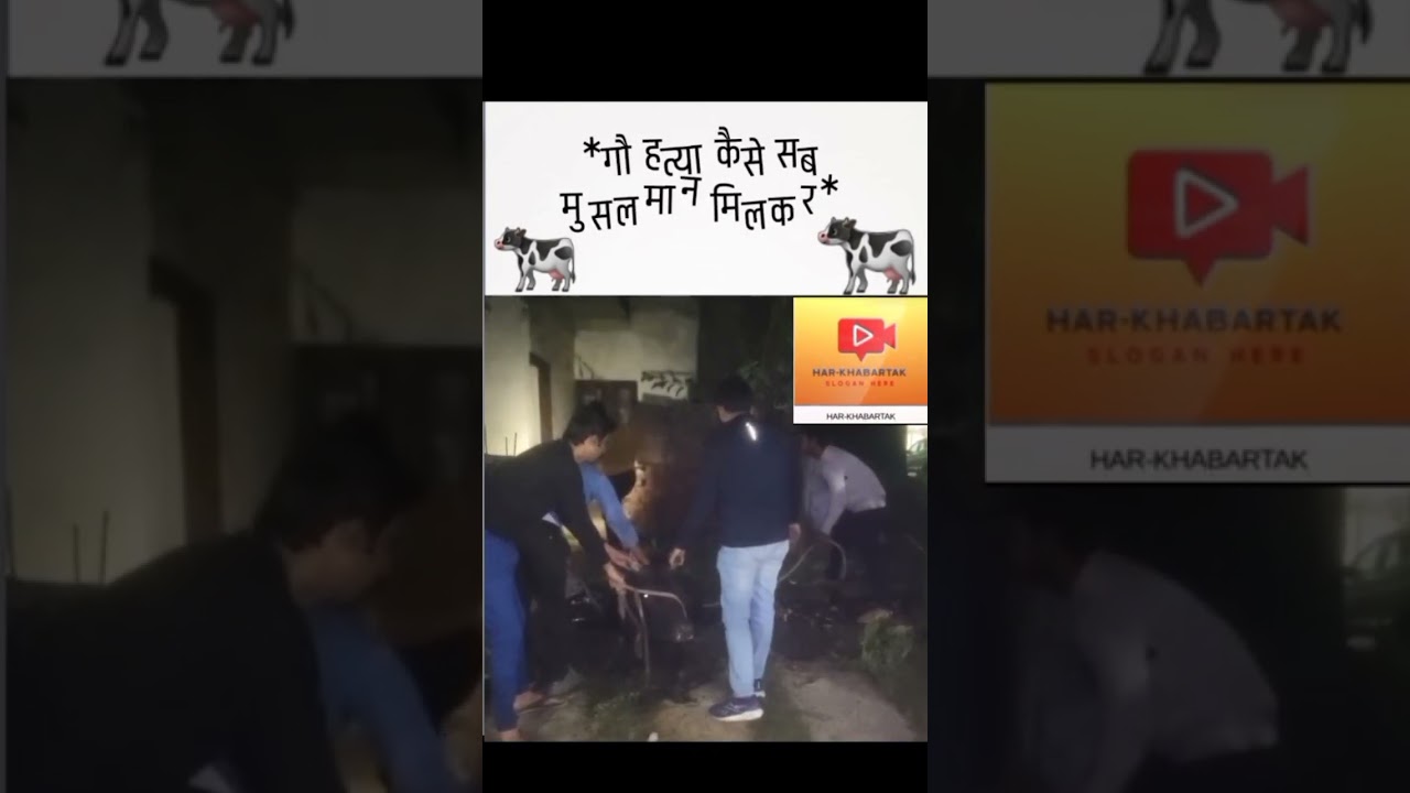 गौ माता की हत्या का प्रयास नहीं 