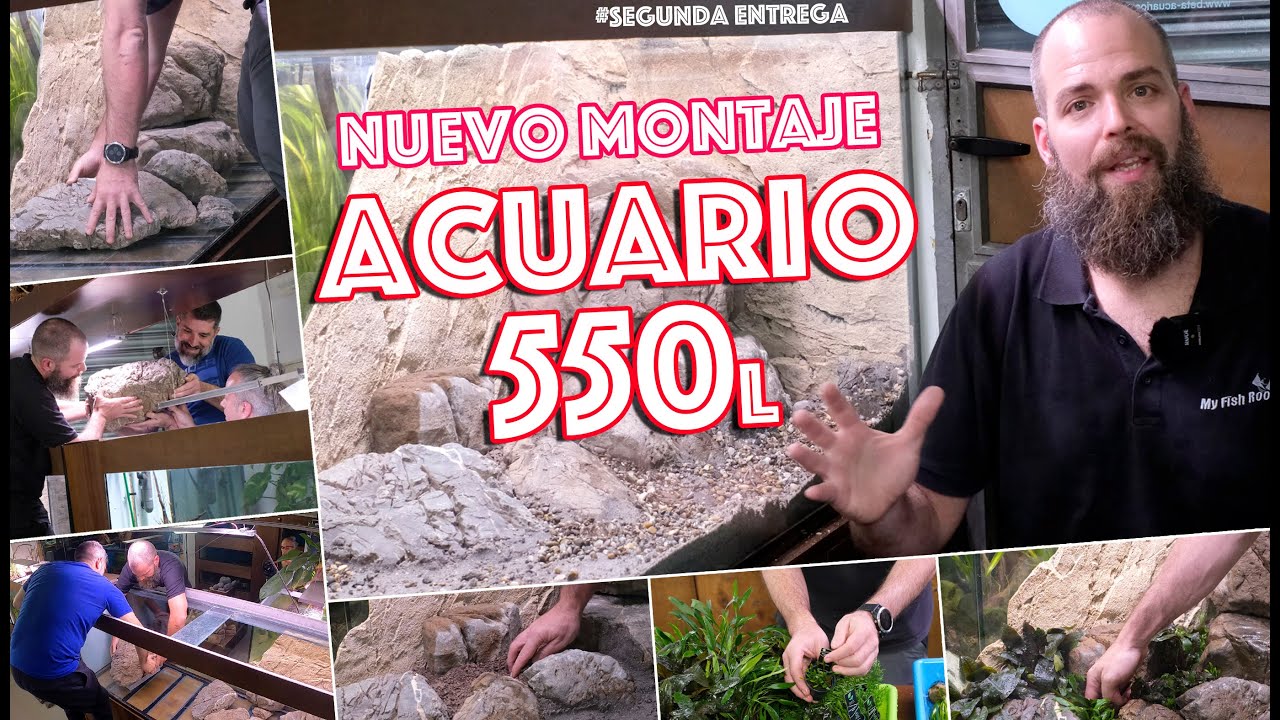 Nuevo montaje acuario 550 litros entrada My Fish Room - Ep2