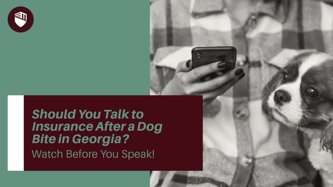 Should You Talk to Insurance After a Dog Bite in Georgia? Watch Before You Speak!