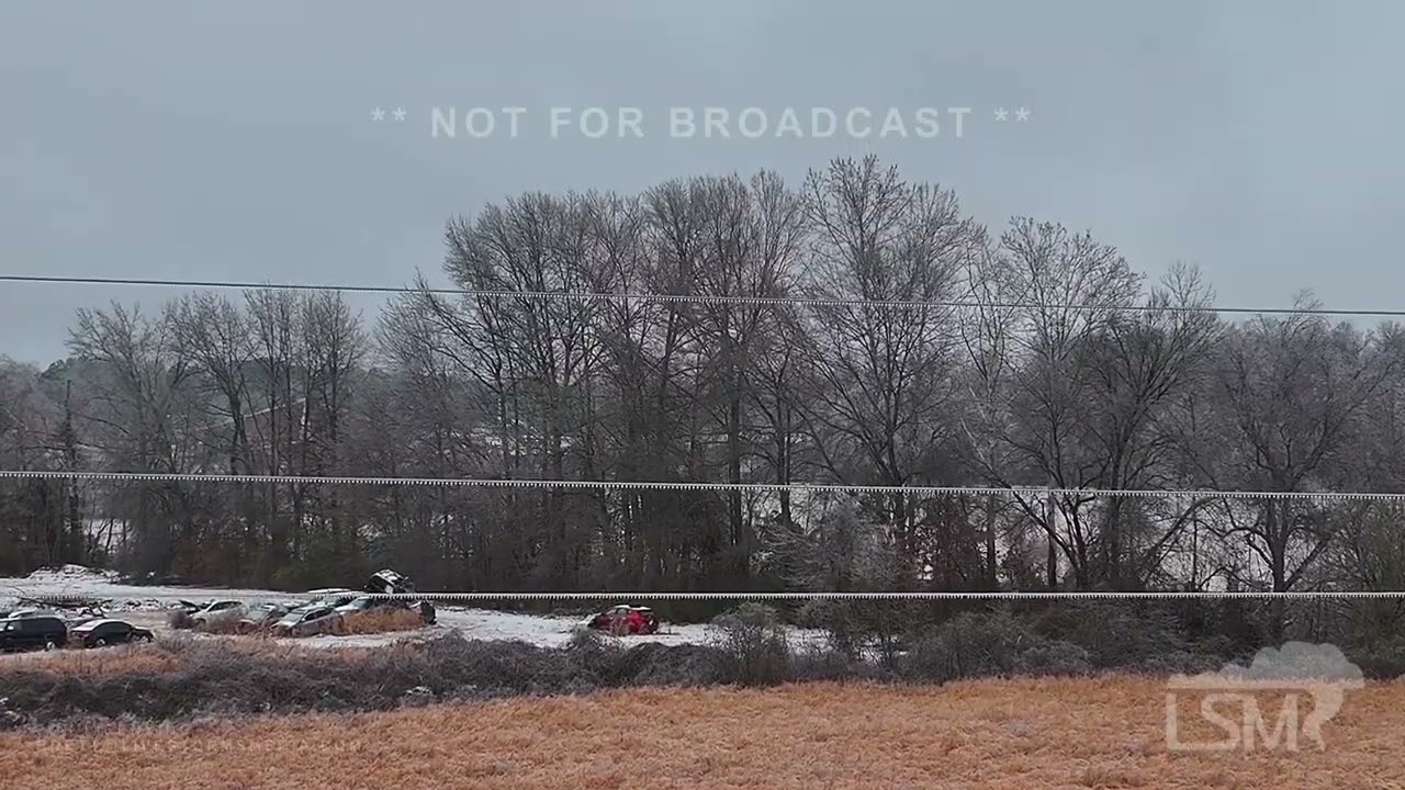 01-24-2026 Myrtle, MS - Freezing Rain - Ice Accumulation on Trees and Powerlines.mov