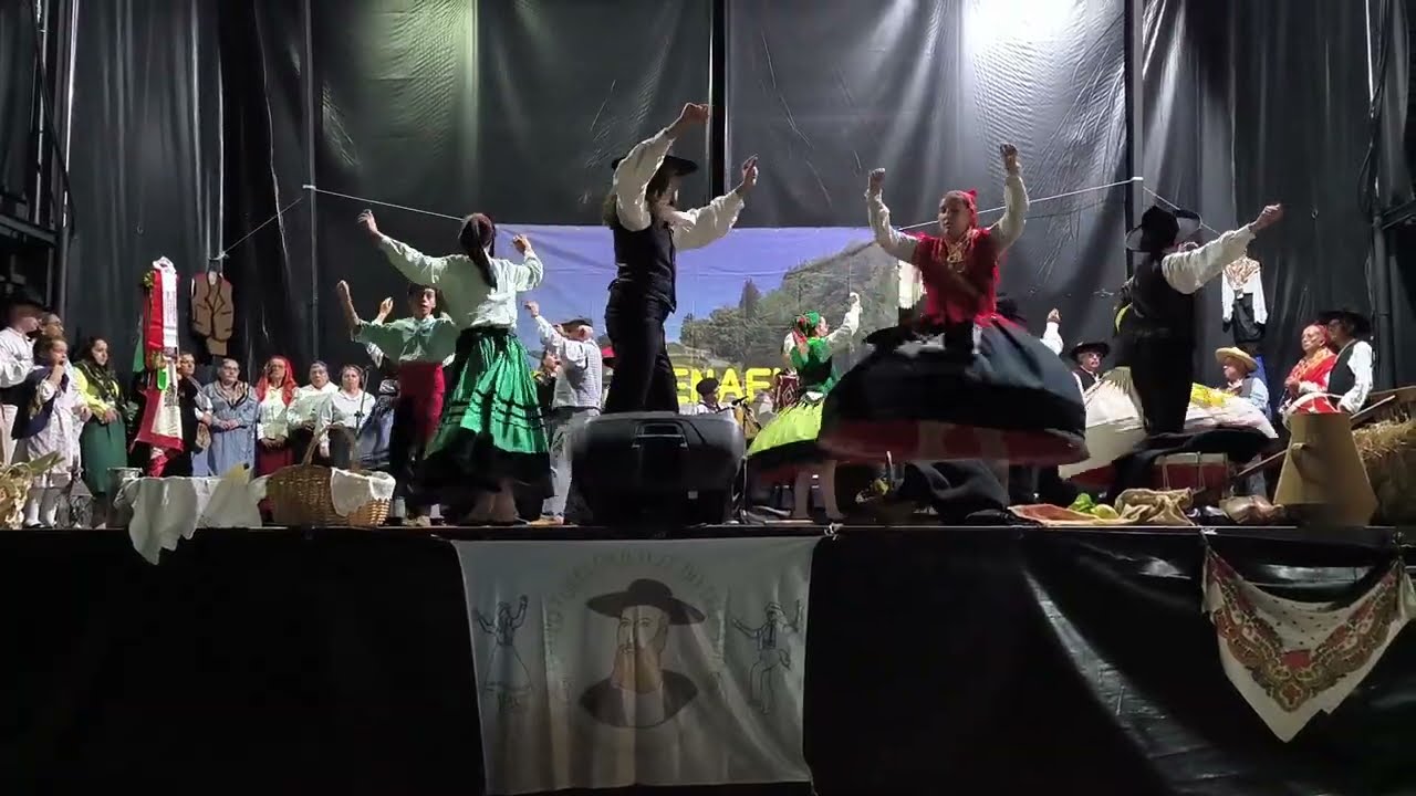 Zé do Telhado - Grupo Folclórico Zé do Telhado | 36º FESTIVAL 2025