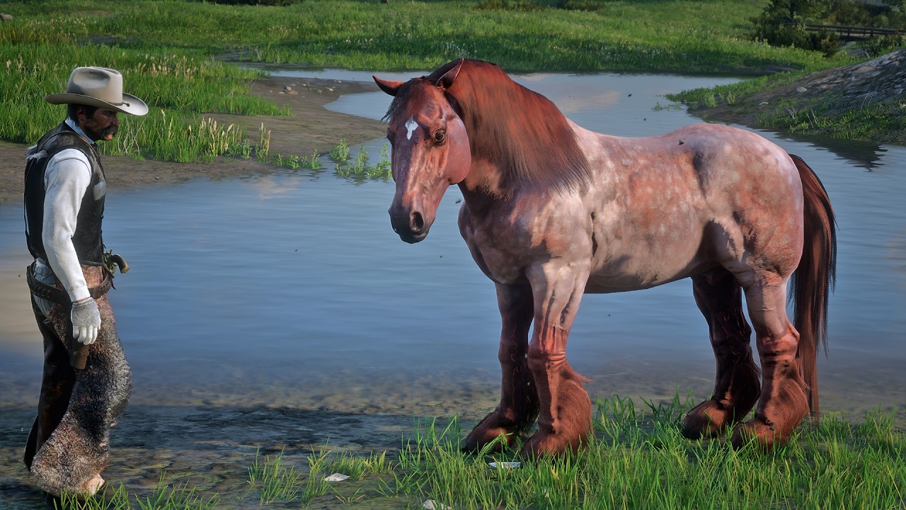 John Marston Tames Beautiful Strawberry Roan Ardennes Horse near Emerald Ranch | RDR2