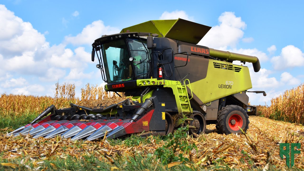 |Claas Lexion 670TT + Dominoni & Fendt Vario 820 + Bossini| Bassan S.N.C|